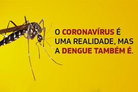 É hora de se prevenir contra a dengue